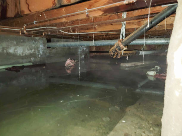 Best Water damage restoration near me  in Leetonia, OH
