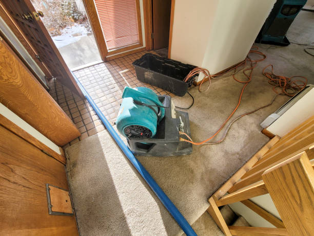 Best Basement water damage restoration  in Leetonia, OH