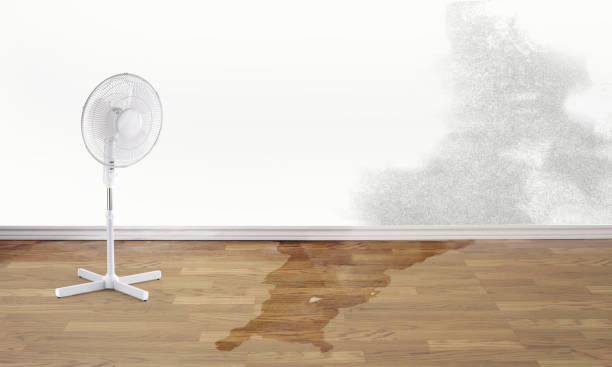 Best Water damage restoration process  in Leetonia, OH