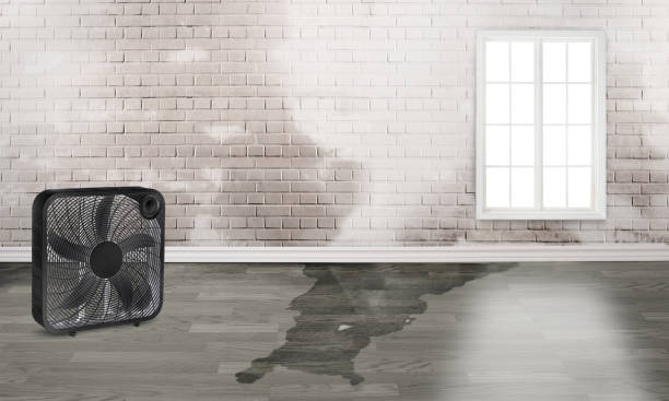 Best Sewage cleanup and water damage restoration  in Leetonia, OH