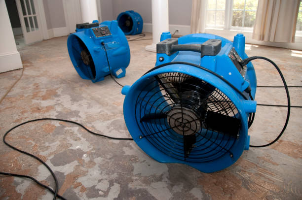 Best Flood restoration services  in Leetonia, OH