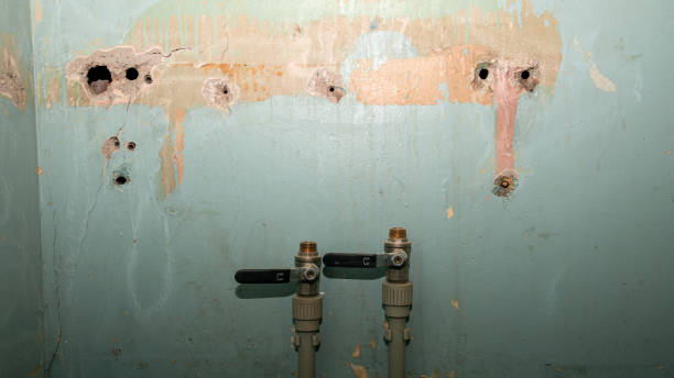 Best Sewage cleanup and water damage restoration  in Leetonia, OH