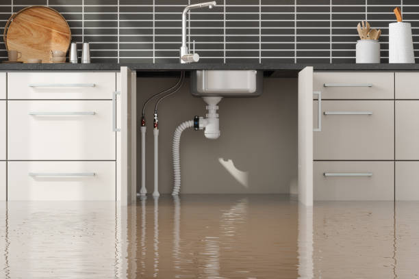 Best Water damage restoration specialists  in Leetonia, OH