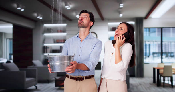 Best Flooded house restoration  in Leetonia, OH